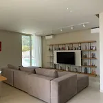 Alegra