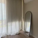 Alegra